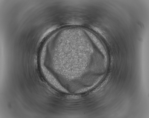 X0000112951307200909211146