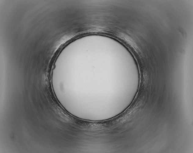 X0000112951308200909211146