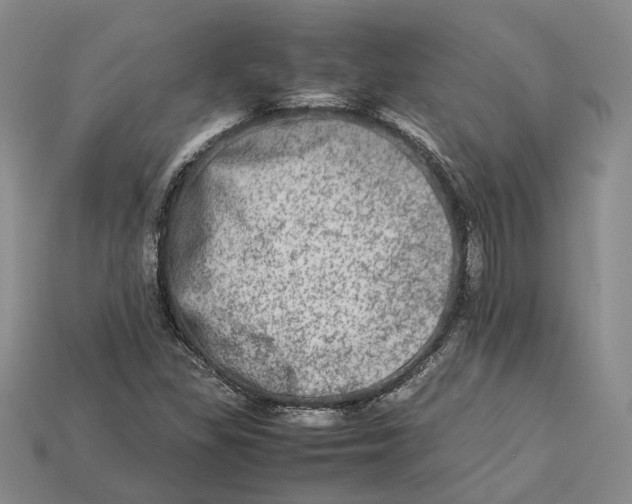 X0000112951309200909211146