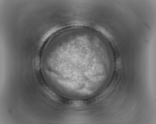 X0000112951310200909211146