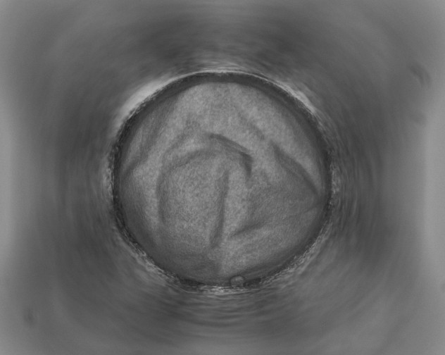 X0000112951311200909211146