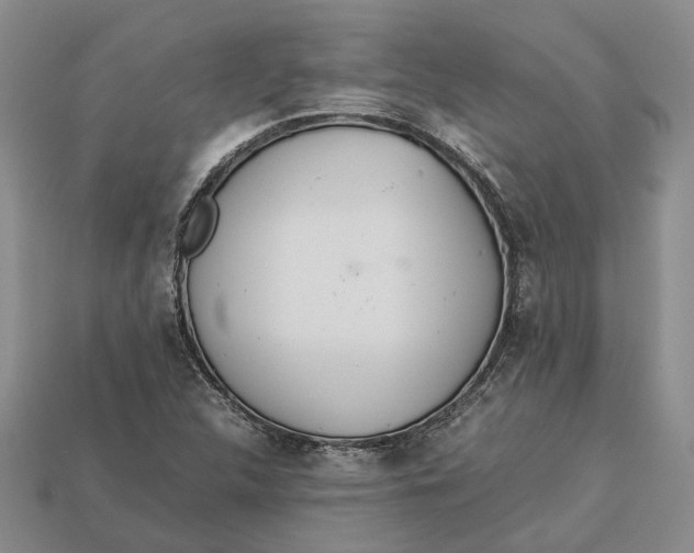 X0000112951312200909211146