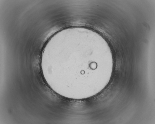 X0000112951314200909211146