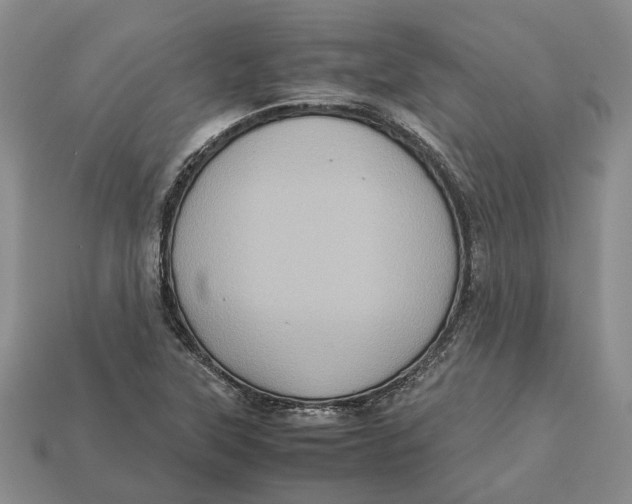 X0000112951315200909211146