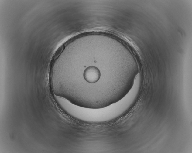 X0000112951316200909211146