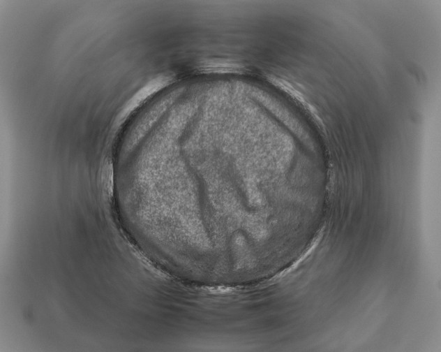 X0000112951317200909211146