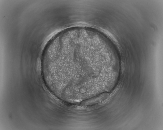 X0000112951318200909211146