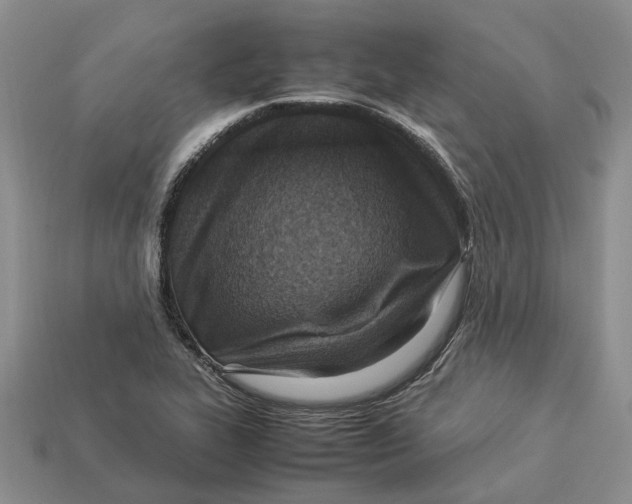 X0000112951319200909211146