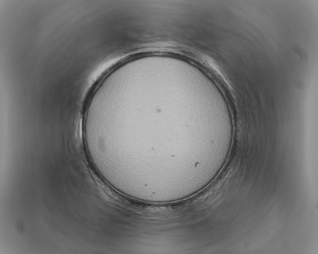 X0000112951320200909211146