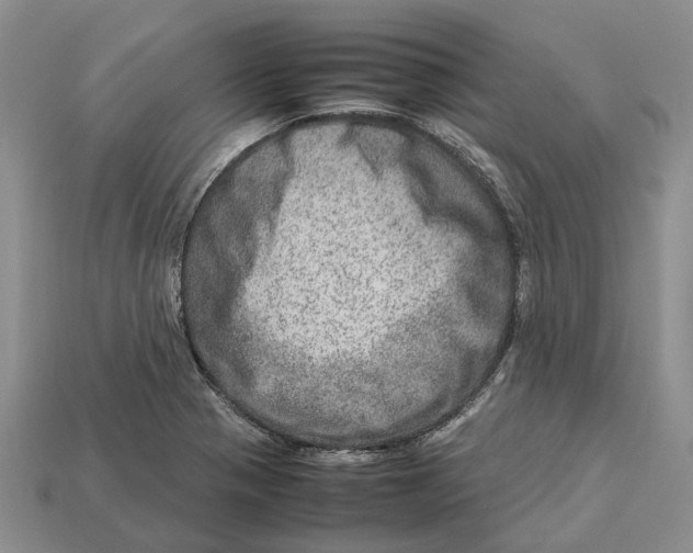 X0000112951321200909211146