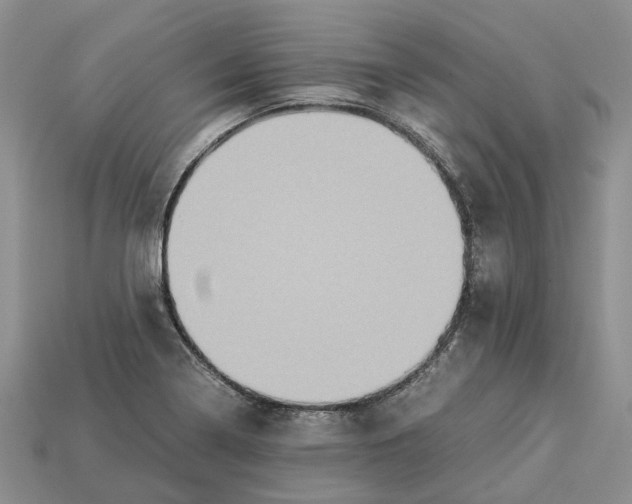 X0000112951322200909211146