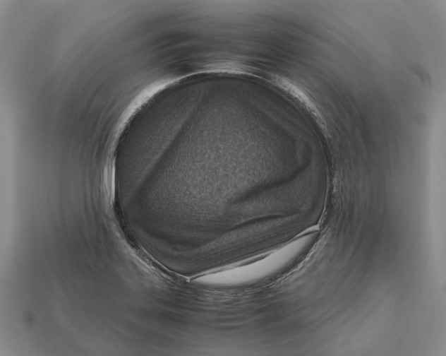 X0000112951323200909211146