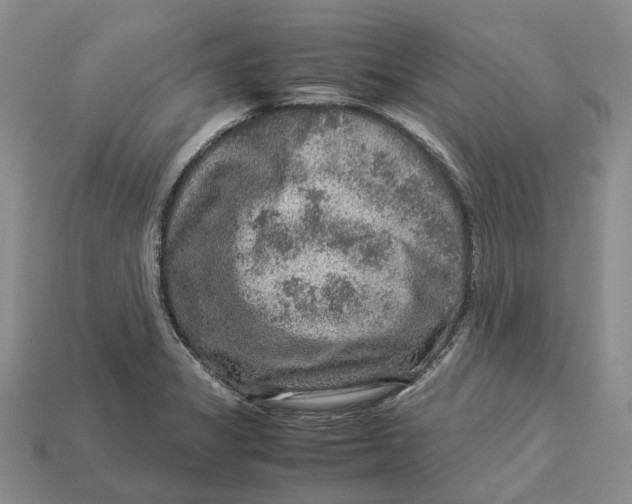 X0000112951325200909211146