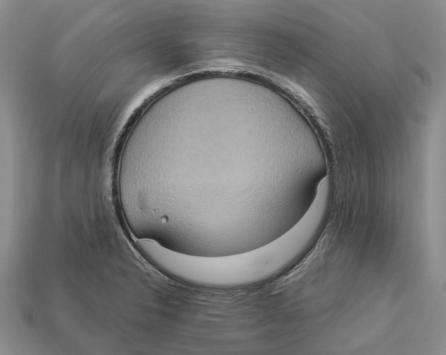 X0000112951326200909211146