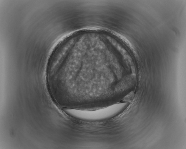 X0000112951327200909211146