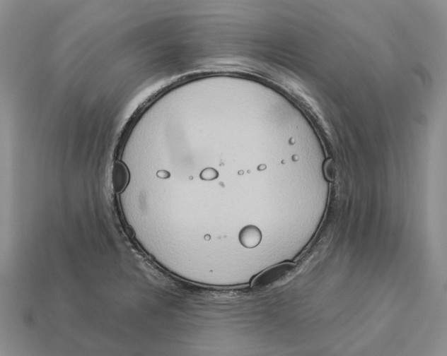 X0000112951328200909211146