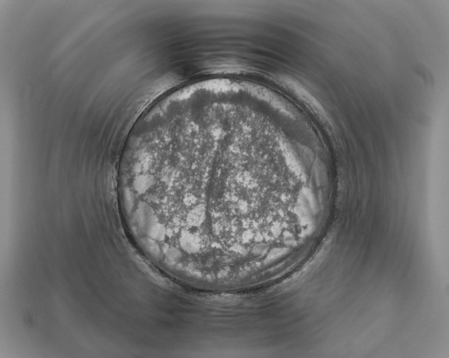 X0000112951329200909211146