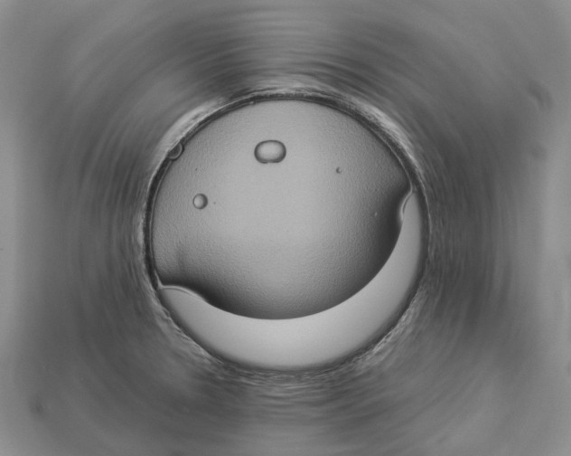 X0000112951330200909211146