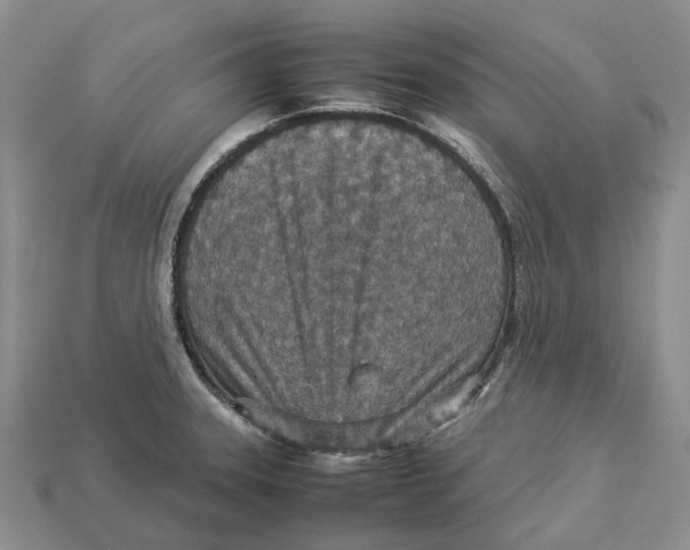 X0000112951331200909211146