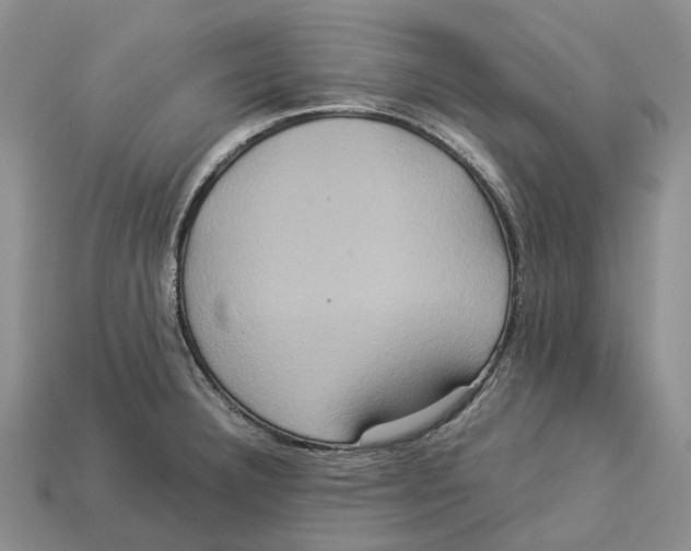 X0000112951332200909211146