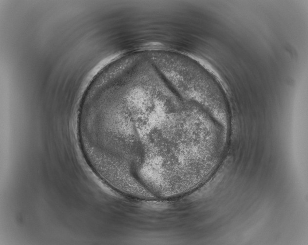 X0000112951333200909211146