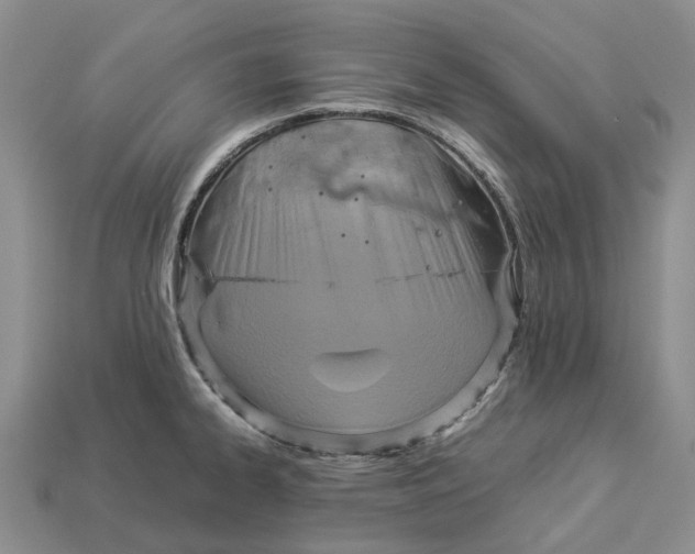 X0000112951334200909211146