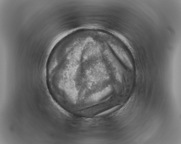 X0000112951335200909211146