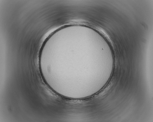 X0000112951336200909211146