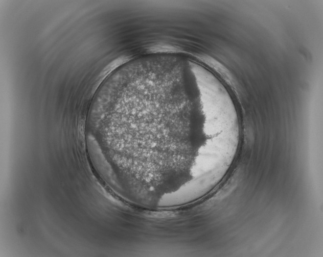 X0000112951337200909211146