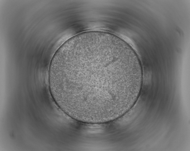 X0000112951338200909211146