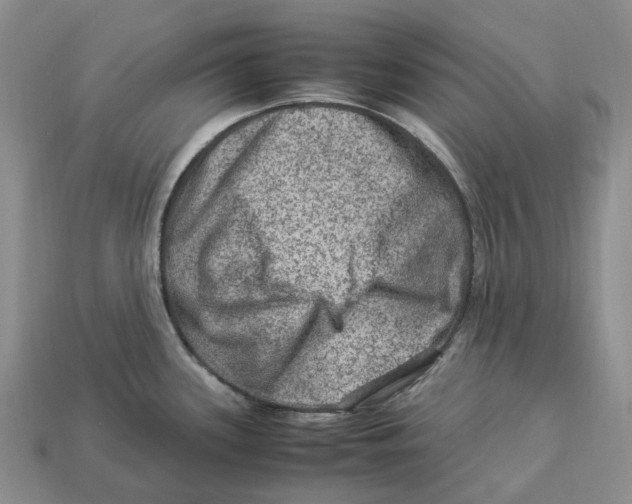 X0000112951339200909211146