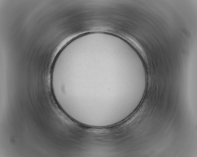 X0000112951340200909211146