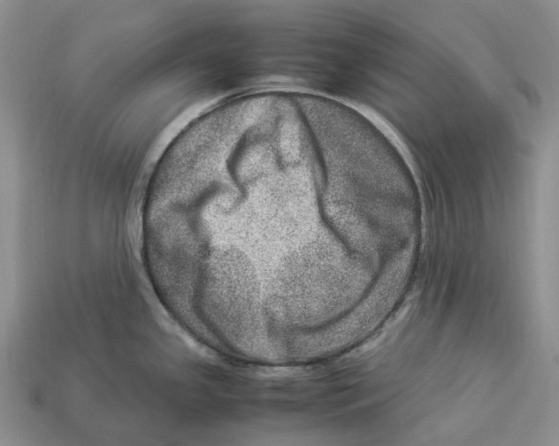 X0000112951341200909211146