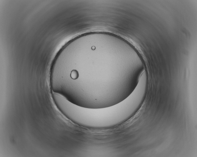 X0000112951342200909211146