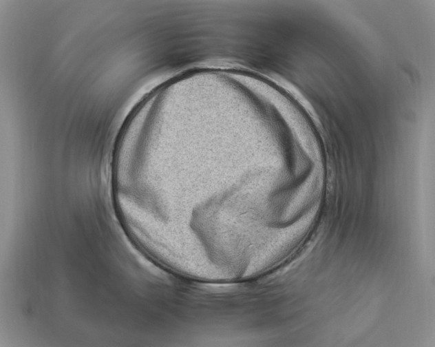 X0000112951343200909211146