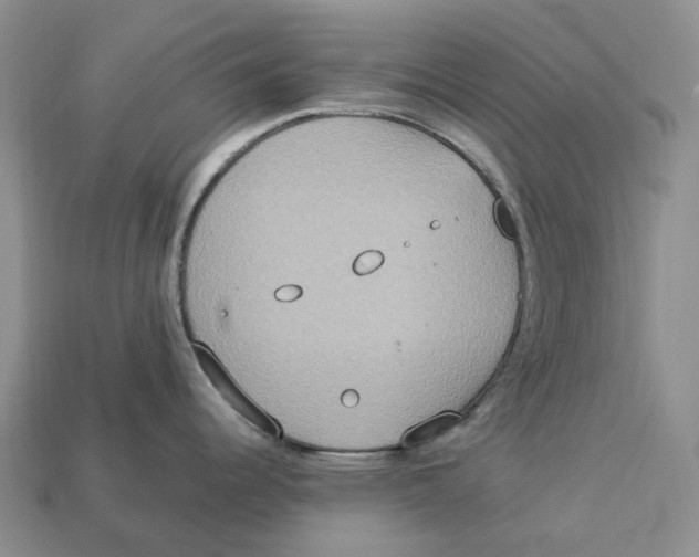 X0000112951344200909211146