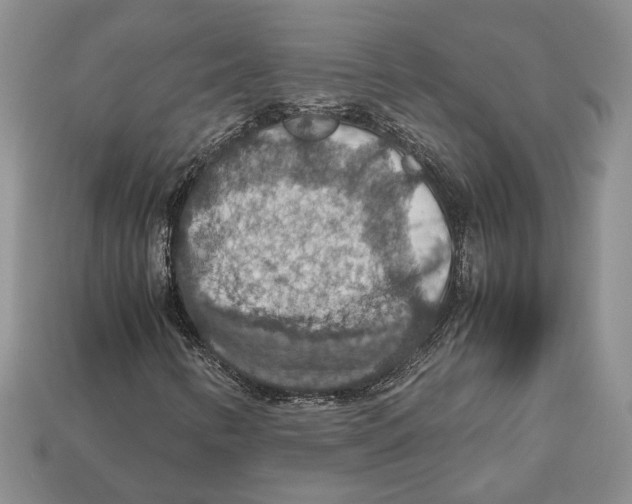 X0000112951346200909211146