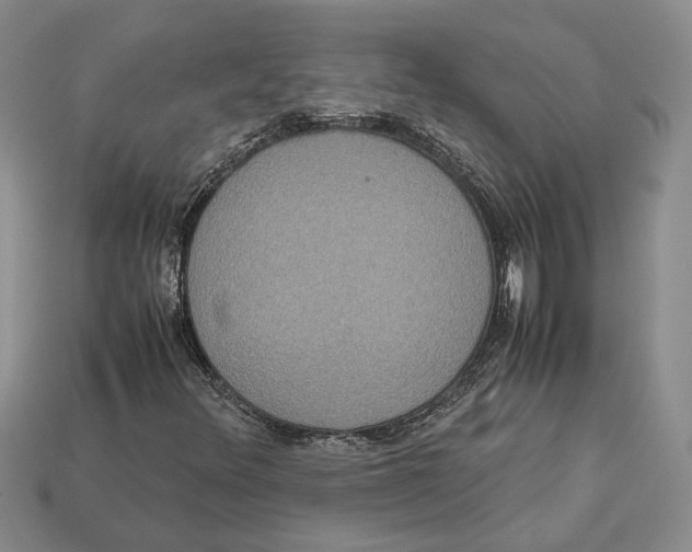 X0000112951348200909211146