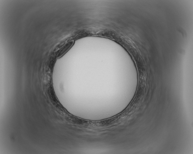 X0000112951349200909211146