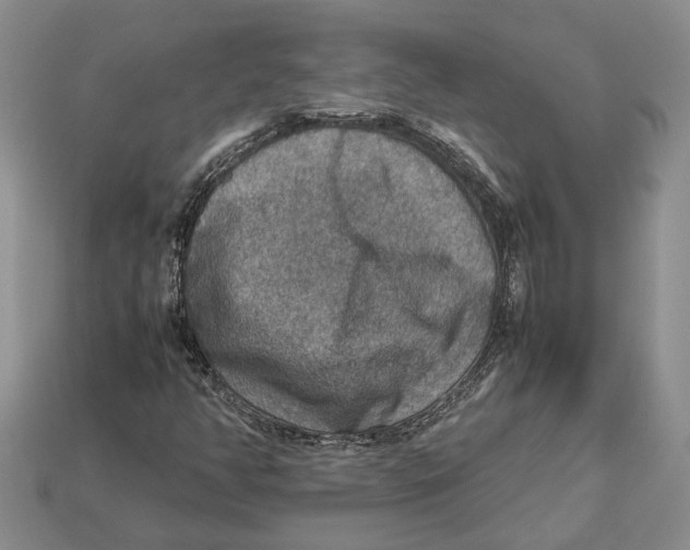 X0000112951350200909211146