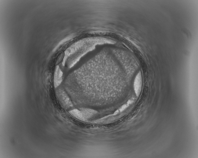 X0000112951351200909211146