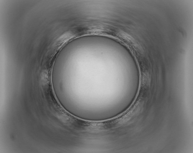 X0000112951353200909211146