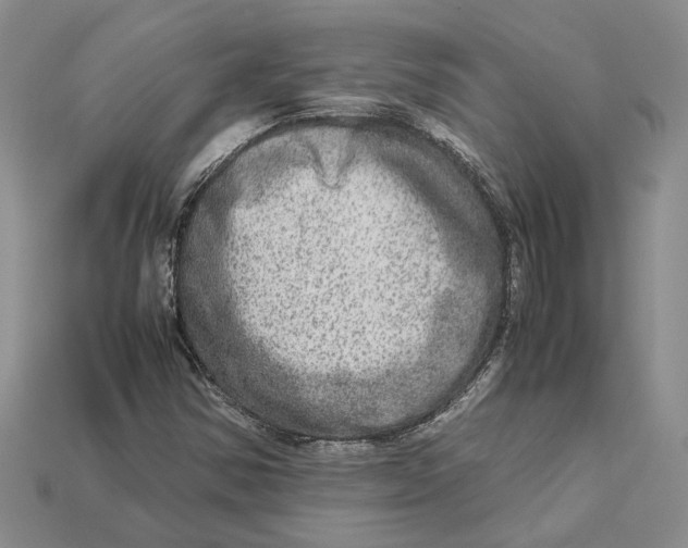 X0000112951354200909211146