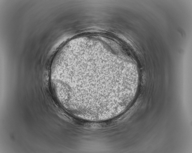 X0000112951355200909211146