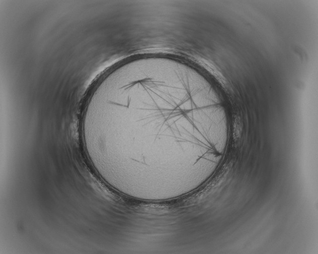 X0000112951356200909211146