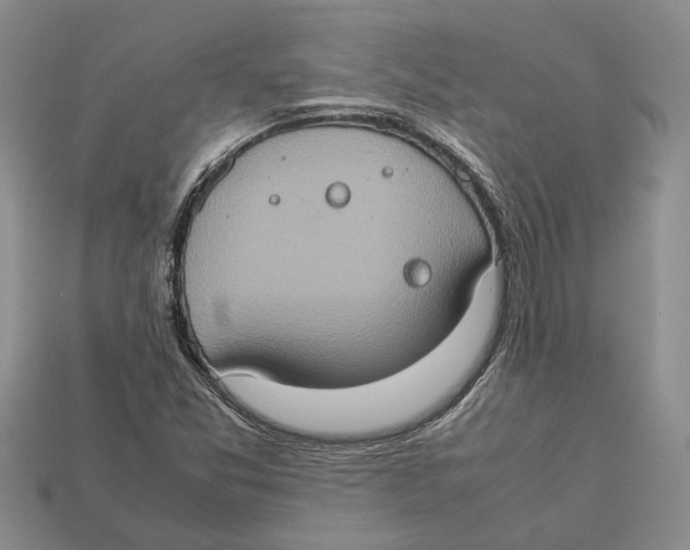 X0000112951357200909211146