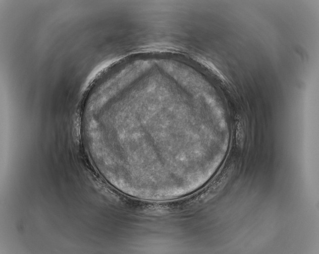 X0000112951358200909211146