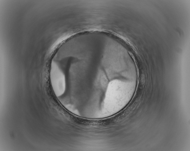 X0000112951359200909211146