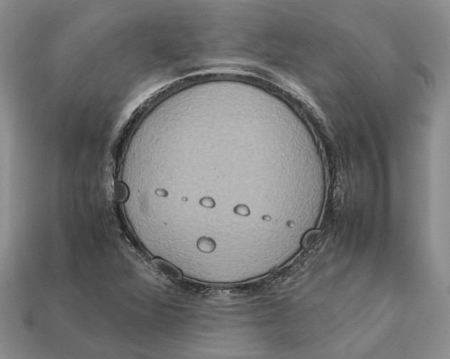 X0000112951360200909211146