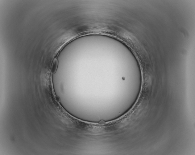 X0000112951361200909211145